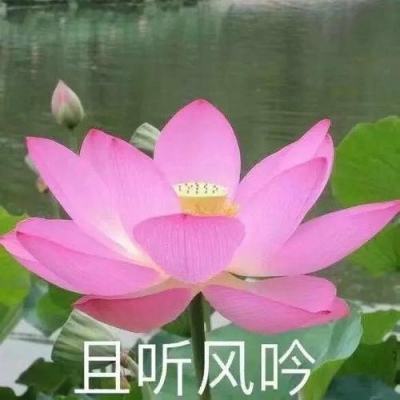 广西玉林:全流域立法守护碧水清流 绘就生态新画卷